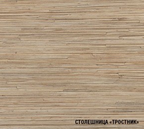 ТОМИЛЛА Кухонный гарнитур Прайм 4 (900*2000 мм ) в Ревде - revda.mebel24.online | фото 6