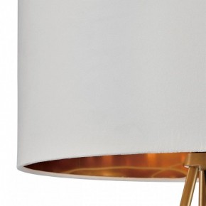 Торшер Lumion Tapioka 8077/1F в Ревде - revda.mebel24.online | фото 6