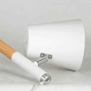 Торшер Lussole Buckeye LSP-0628 в Ревде - revda.mebel24.online | фото 4