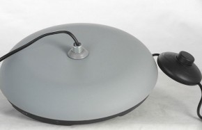 Торшер Lussole Flagstaff LSP-0630 в Ревде - revda.mebel24.online | фото 6