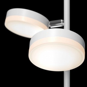Торшер Maytoni Fad MOD070FL-L12W3K в Ревде - revda.mebel24.online | фото 5