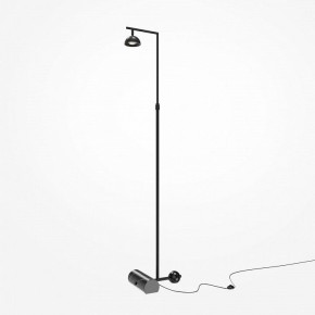 Торшер Maytoni Pikant MOD372FL-L10B3K в Ревде - revda.mebel24.online | фото 2