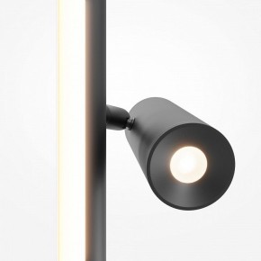 Торшер Maytoni Thin MOD395FL-L28B3K в Ревде - revda.mebel24.online | фото 6