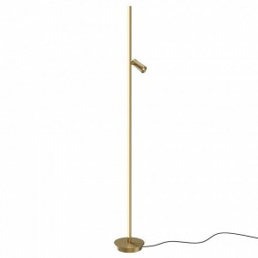 Торшер Maytoni Thin MOD395FL-L28BS3K в Ревде - revda.mebel24.online | фото