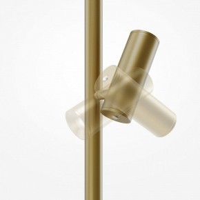 Торшер Maytoni Thin MOD395FL-L28BS3K в Ревде - revda.mebel24.online | фото 6