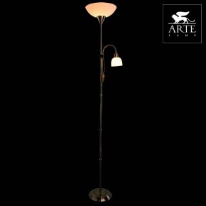 Торшер с подсветкой Arte Lamp Duetto A9569PN-2AB в Ревде - revda.mebel24.online | фото 3