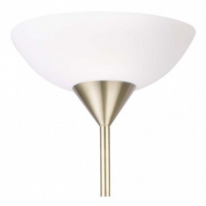 Торшер с подсветкой Arte Lamp Duetto A9569PN-2AB в Ревде - revda.mebel24.online | фото 5