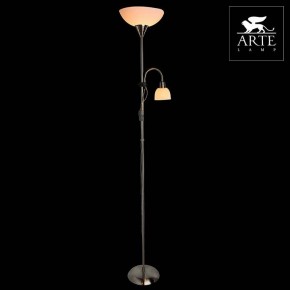 Торшер с подсветкой Arte Lamp Duetto A9569PN-2SS в Ревде - revda.mebel24.online | фото 3