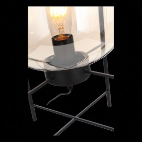 Торшер ST-Luce Burasca SL1050.505.01 в Ревде - revda.mebel24.online | фото 9