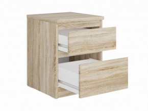 Тумба КАСТОР малая с двумя ящиками, цвет Дуб Сонома в Ревде - revda.mebel24.online | фото 2