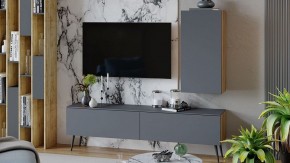 Тумба под ТВ Порто СМ-393.03.011 в Ревде - revda.mebel24.online | фото 5