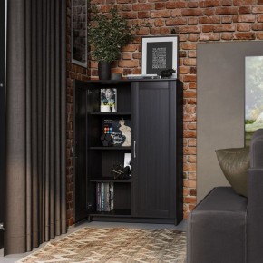 Тумба СИРИУС двухдверная высокая, цвет Дуб Венге в Ревде - revda.mebel24.online | фото 4