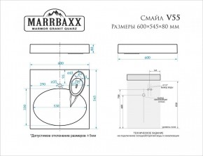 Умывальник над стиральной машиной (600*545*80) Смайл V55D1 (белый) с кронштейном без сифона (V55D1) в Ревде - revda.mebel24.online | фото 2