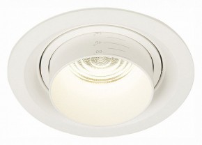 Встраиваемый светильник ST-Luce Zoom ST701.548.12 в Ревде - revda.mebel24.online | фото 2