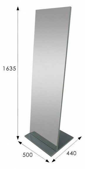 Зеркало напольное Стелла 2 в Ревде - revda.mebel24.online | фото 9